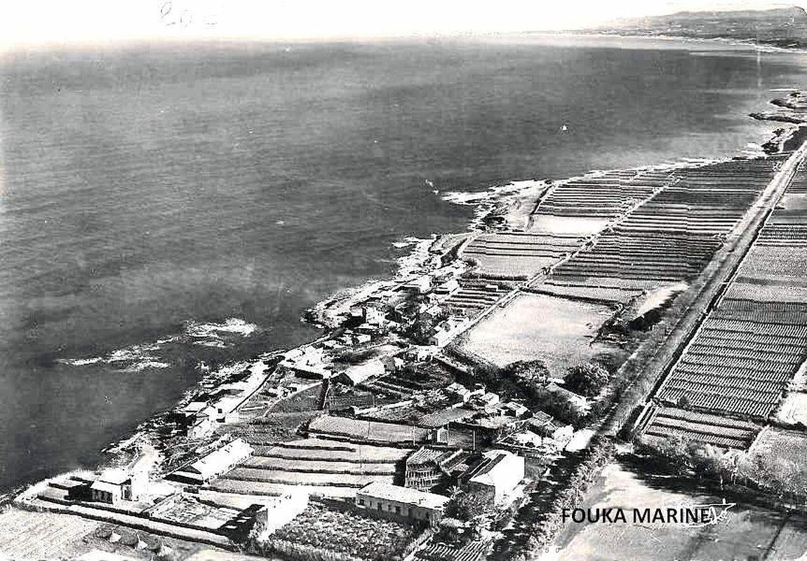 Fouka Marine.jpg